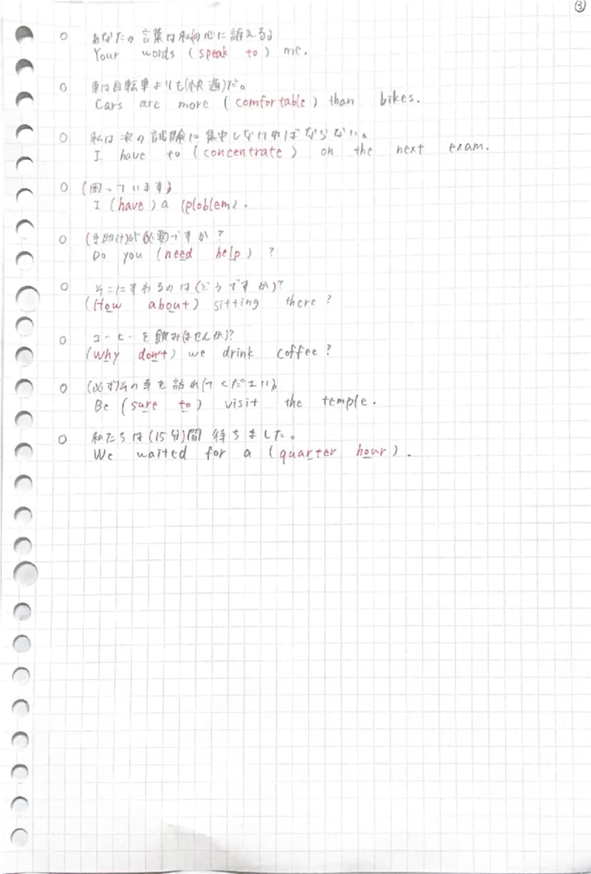 Page 3