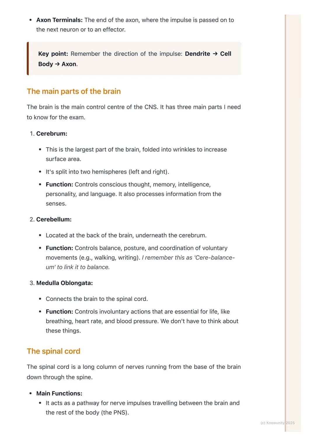 # The Nervous System

An introduction to the nervous system

The nervous system is our body's main control and communication system. It's
in