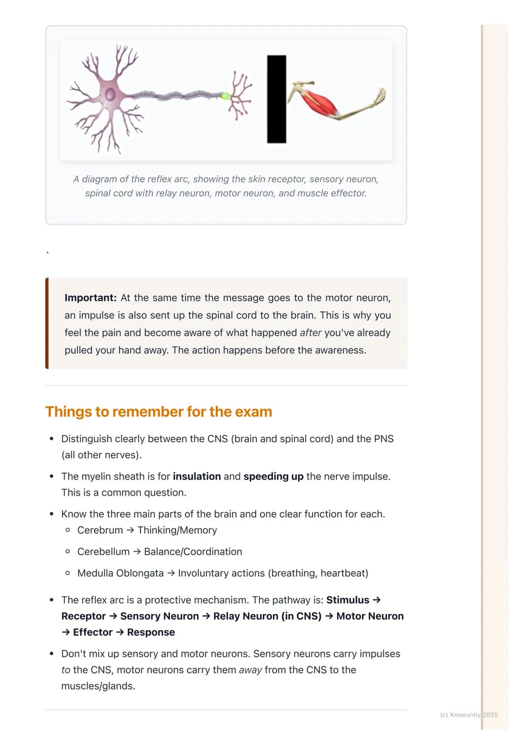 # The Nervous System

An introduction to the nervous system

The nervous system is our body's main control and communication system. It's
in