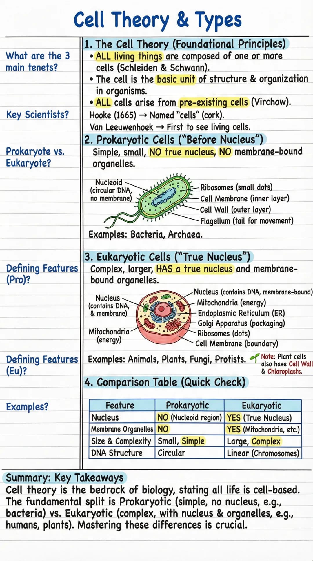 # Cell Theory & Types

What are the 3
main tenets?

1. The Cell Theory (Foundational Principles)
*   ALL living things are composed of one o