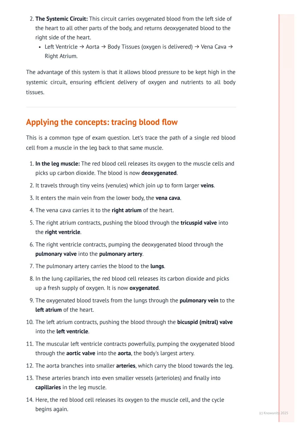 # The Circulatory System

An introduction to the circulatory system

The circulatory system is basically the body's transport network. Its m