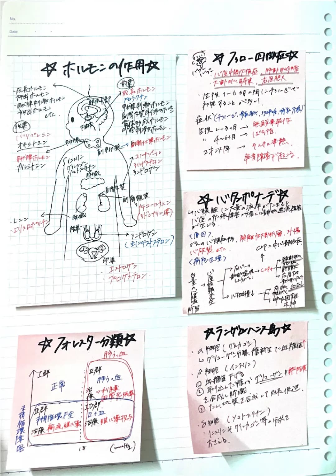 Date

☆ホルモンの作用☆
・成長ホルモン
所出ホルモン
・甲状腺リがホルモン
市放出ホルモン
etc.

バソプレシン
オキシトシン

カルシトシン
・レニン
4
・エリトロポッチン
0

卵巢

副質

前葉
成長ホルモン
プロラクチン
甲腺刺激ホルモン
風情你質的添些
