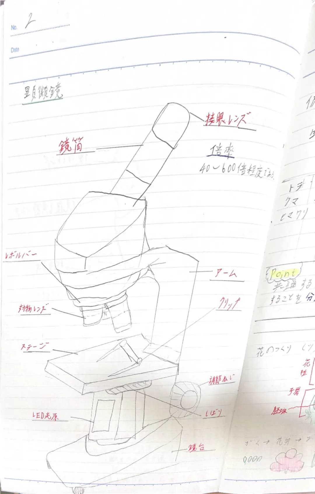 双眼実体顕微鏡
鏡筒
対物レンズ
クリップ
ステージ
-接眼レンズ
・視度調節リンダー
-粗動市ジ
微動ネジ
支柱
双眼実体显页微鏡の注意点
・双眼実体顕微鏡の倍率は20~40倍程度である。
・倍率=接眼レンズの倍率×対物レン状の倍率
・ステージには白色と黒色の面があるため、
観