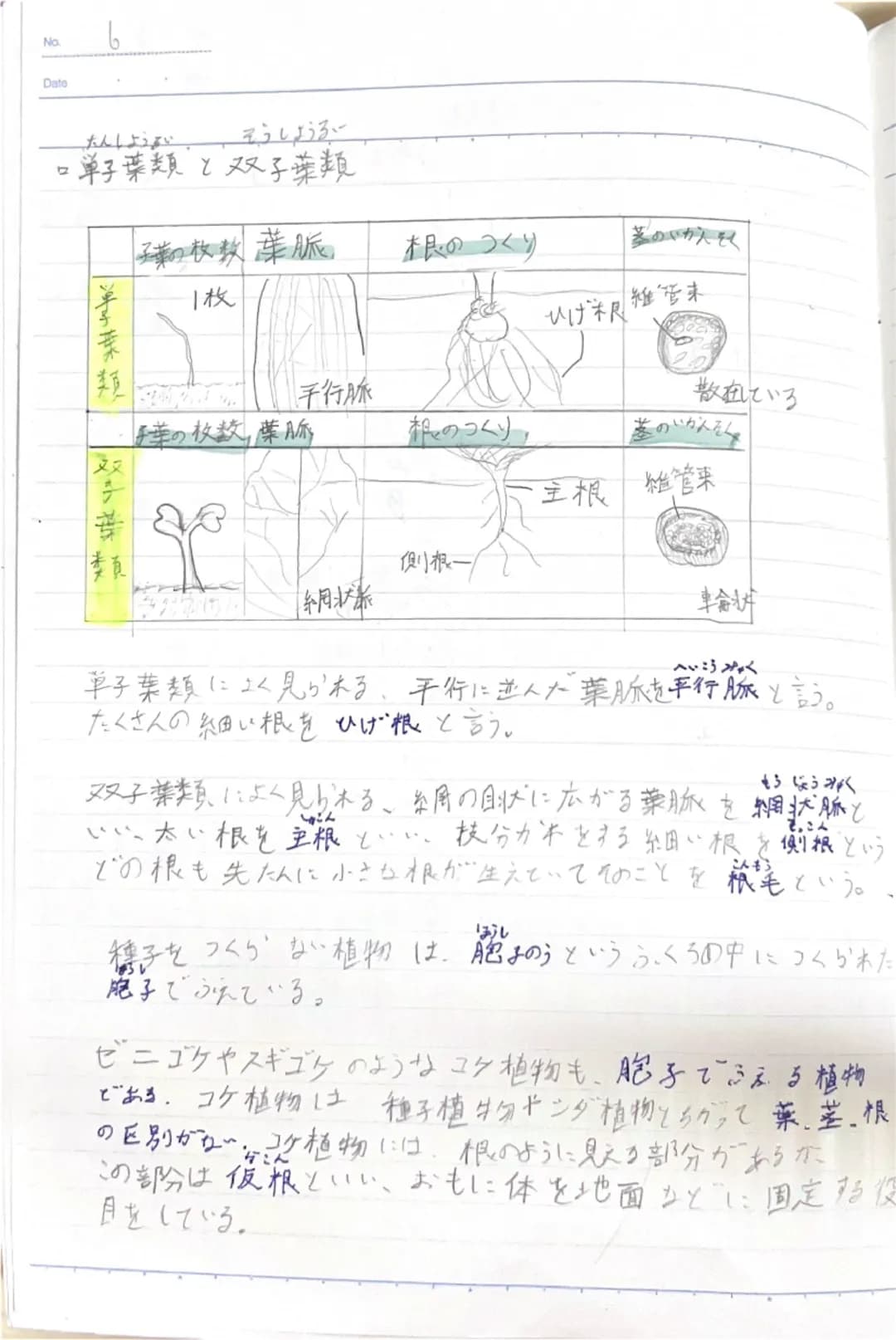 双眼実体顕微鏡
鏡筒
対物レンズ
クリップ
ステージ
-接眼レンズ
・視度調節リンダー
-粗動市ジ
微動ネジ
支柱
双眼実体显页微鏡の注意点
・双眼実体顕微鏡の倍率は20~40倍程度である。
・倍率=接眼レンズの倍率×対物レン状の倍率
・ステージには白色と黒色の面があるため、
観