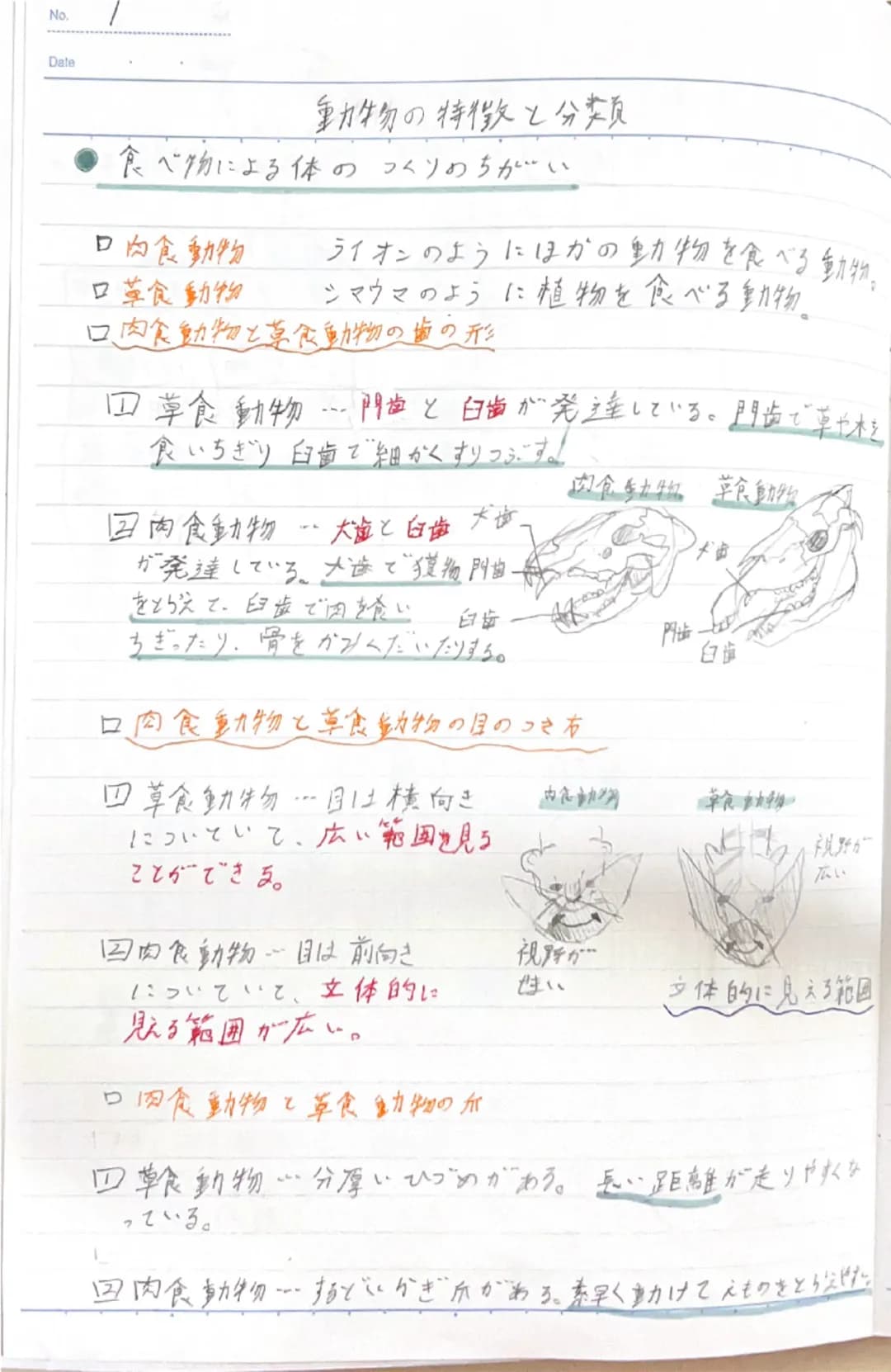 双眼実体顕微鏡
鏡筒
対物レンズ
クリップ
ステージ
-接眼レンズ
・視度調節リンダー
-粗動市ジ
微動ネジ
支柱
双眼実体显页微鏡の注意点
・双眼実体顕微鏡の倍率は20~40倍程度である。
・倍率=接眼レンズの倍率×対物レン状の倍率
・ステージには白色と黒色の面があるため、
観