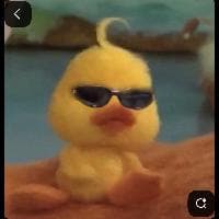 user profile picture