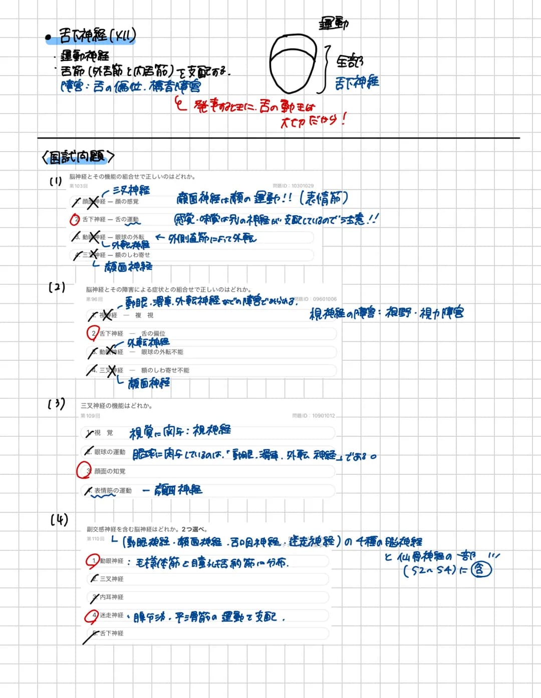 # 脊胃道
脊胃道の長さ:約40~450m 上市:大後頭孔の高さ下方:第1.2腰椎の高さ
頸椎は7個
頸神経は8対217多い!!
* 構造
-脊柱管口
脊髄が通る。
突起
●背骨査の内部構造
後外側溝 後正中橋
側
东
中心當
○中険側
★感覚性ニューロンの
細胞体が
有