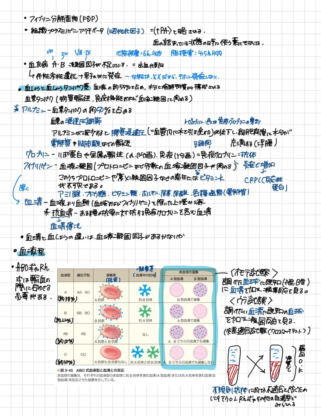 ■顆粒球一好中球,一貧億作用により微生物を取刷込む「非特異的反応」「相手をえらばない
好酸球・ー アレルギー反応を印刷、プラスミノゲンを含有
好塩基球・・アレルギー反応に関与・ヒスタミン・ヘパリンを含有
細しき内では肥満細胞となる
食用をもつ
遊走細胞
■単球一食作用をもち、組し