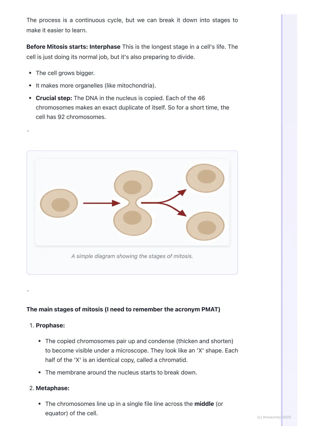 # Cell Division (Mitosis)
What is mitosis and why is it important?
Mitosis is a type of cell division. It's the process our body cells use