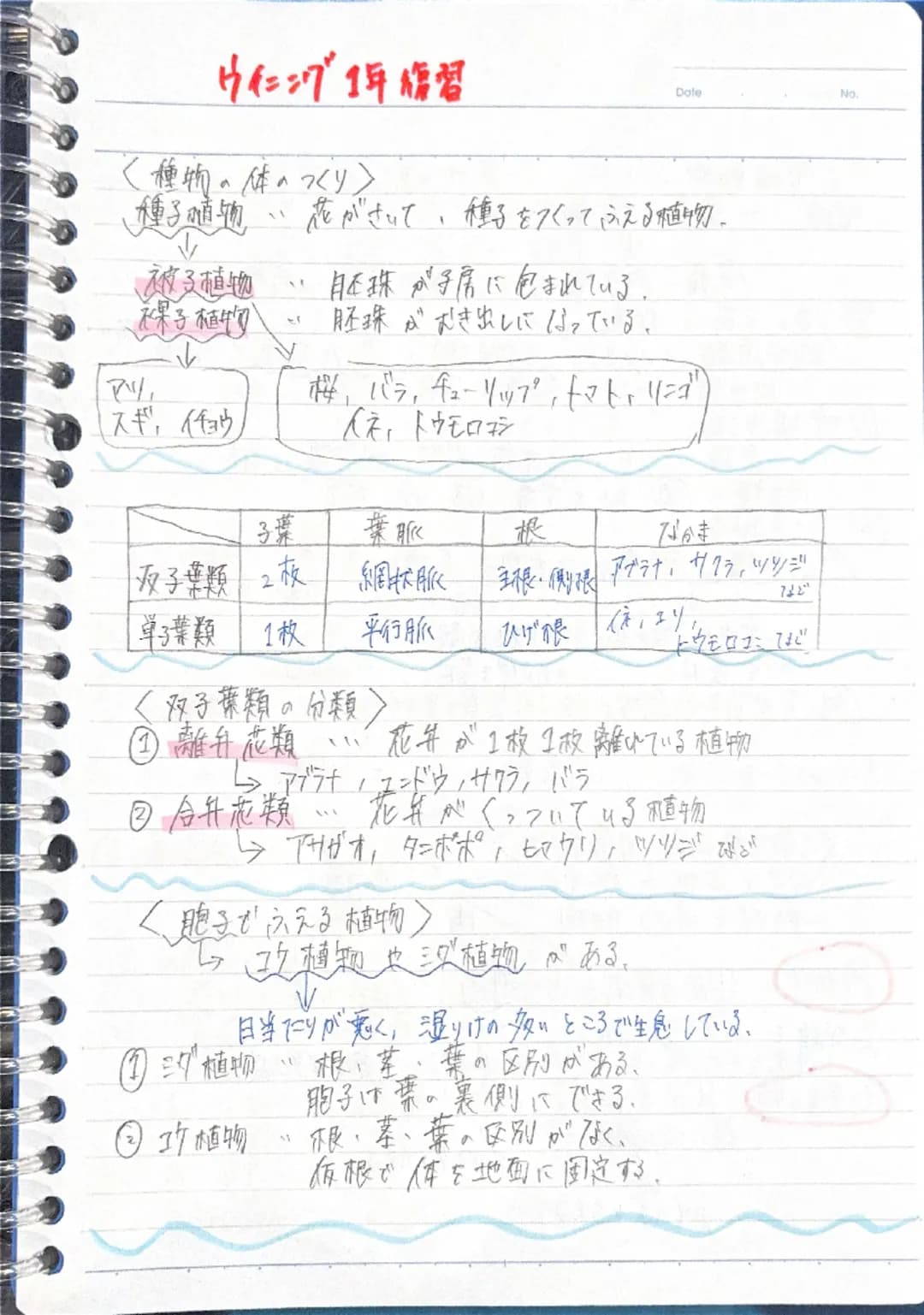 ウイニング1年復習
Date
No
<種物の体のつくり>
種子植物・花がさいて、種子をつくってふえる植物。
被子植物・・胚珠が子房に包まれている。
裸子植物胚珠がむき出しになっている。
アリ
桜、バラ、チューリップ、トマト・リンゴ)
スギ、イチョウ
人床、トウモロコシ
|