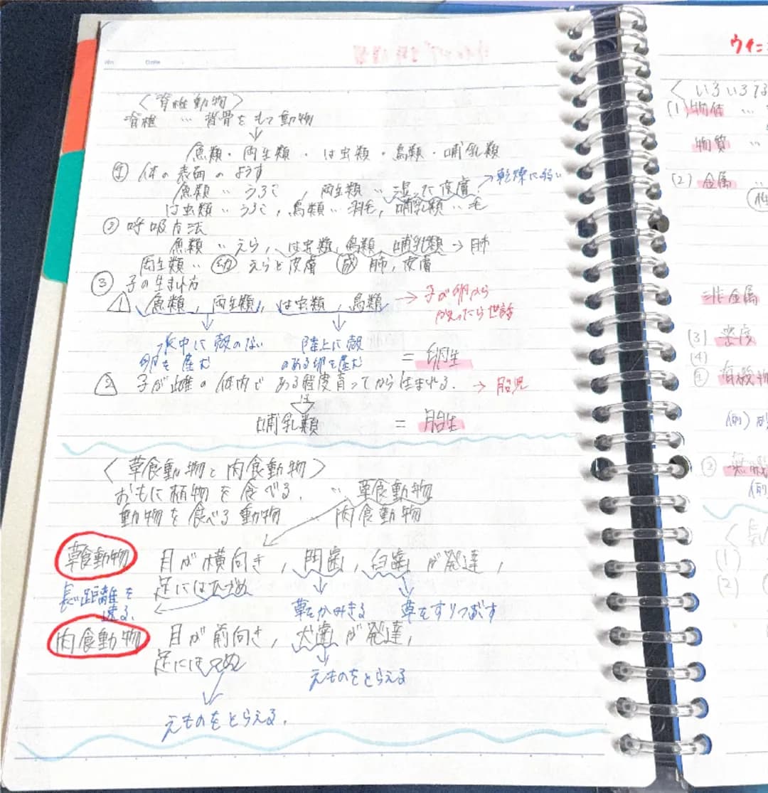 ウイニング1年復習
Date
No
<種物の体のつくり>
種子植物・花がさいて、種子をつくってふえる植物。
被子植物・・胚珠が子房に包まれている。
裸子植物胚珠がむき出しになっている。
アリ
桜、バラ、チューリップ、トマト・リンゴ)
スギ、イチョウ
人床、トウモロコシ
|