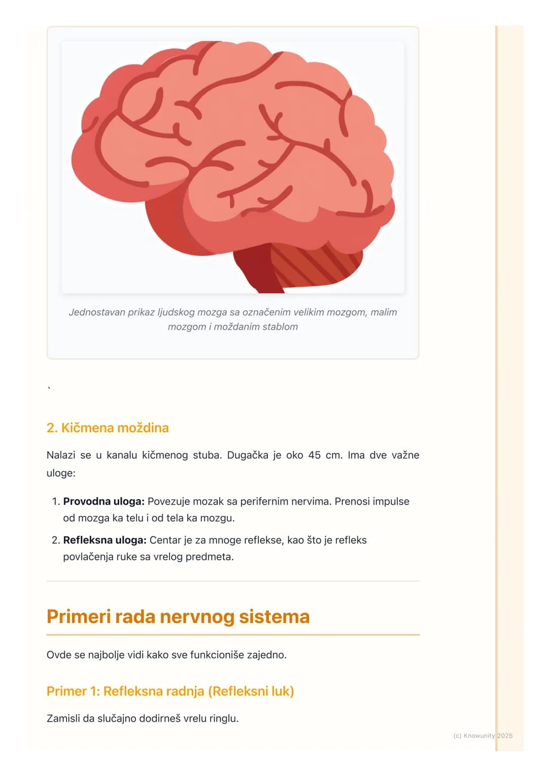 # Nervni sistem
## Uvod u nervni sistem
Nervni sistem je najsloženiji sistem organa u našem telu. Njegova glavna uloga
je da kontroliše i
